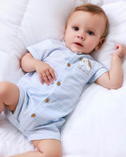 Baby Boys' Light Blue Striped Romper | The "Playtime Puppy" Essential