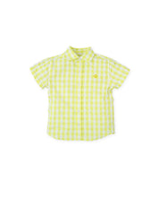 SHIRT LIME