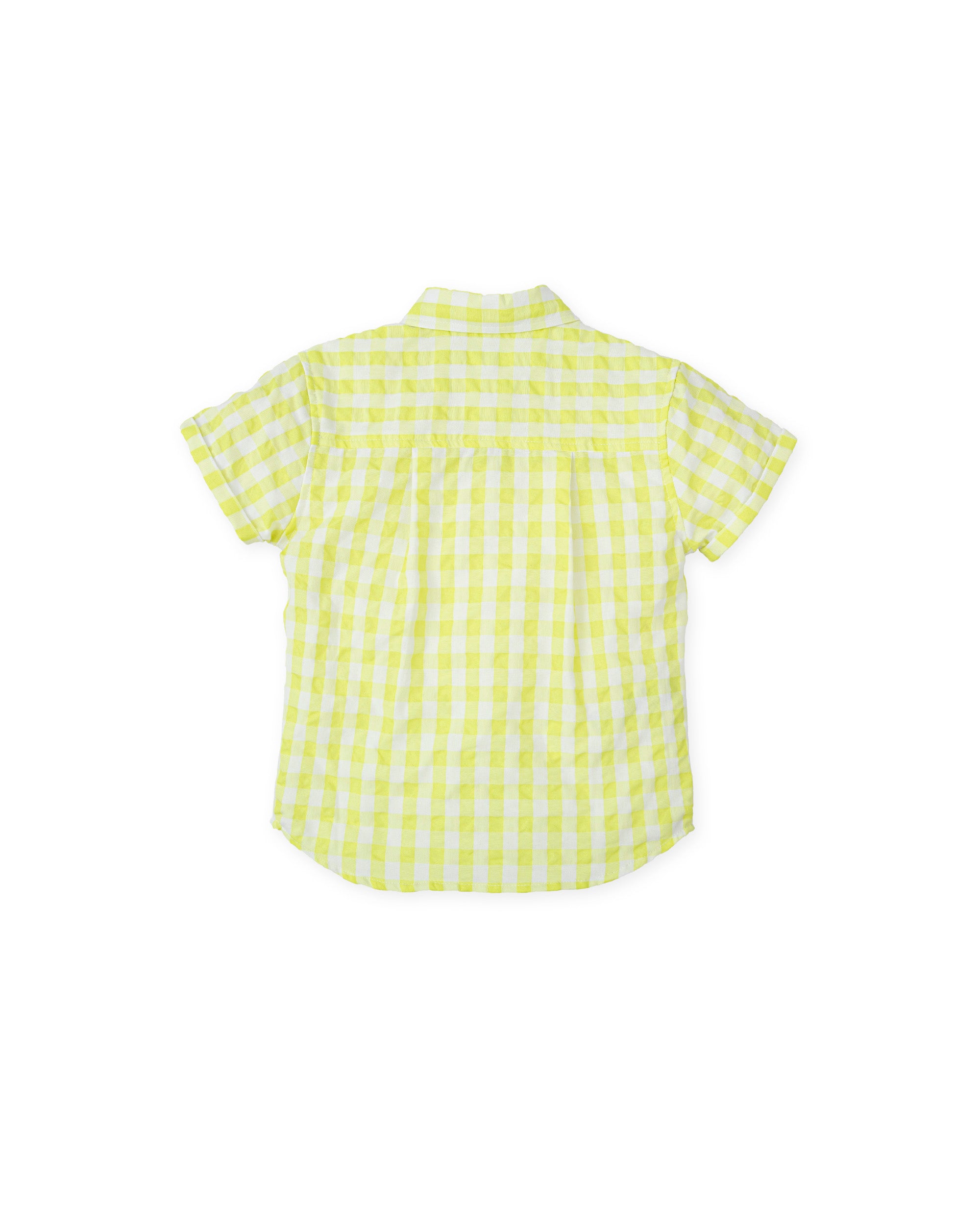 SHIRT LIME