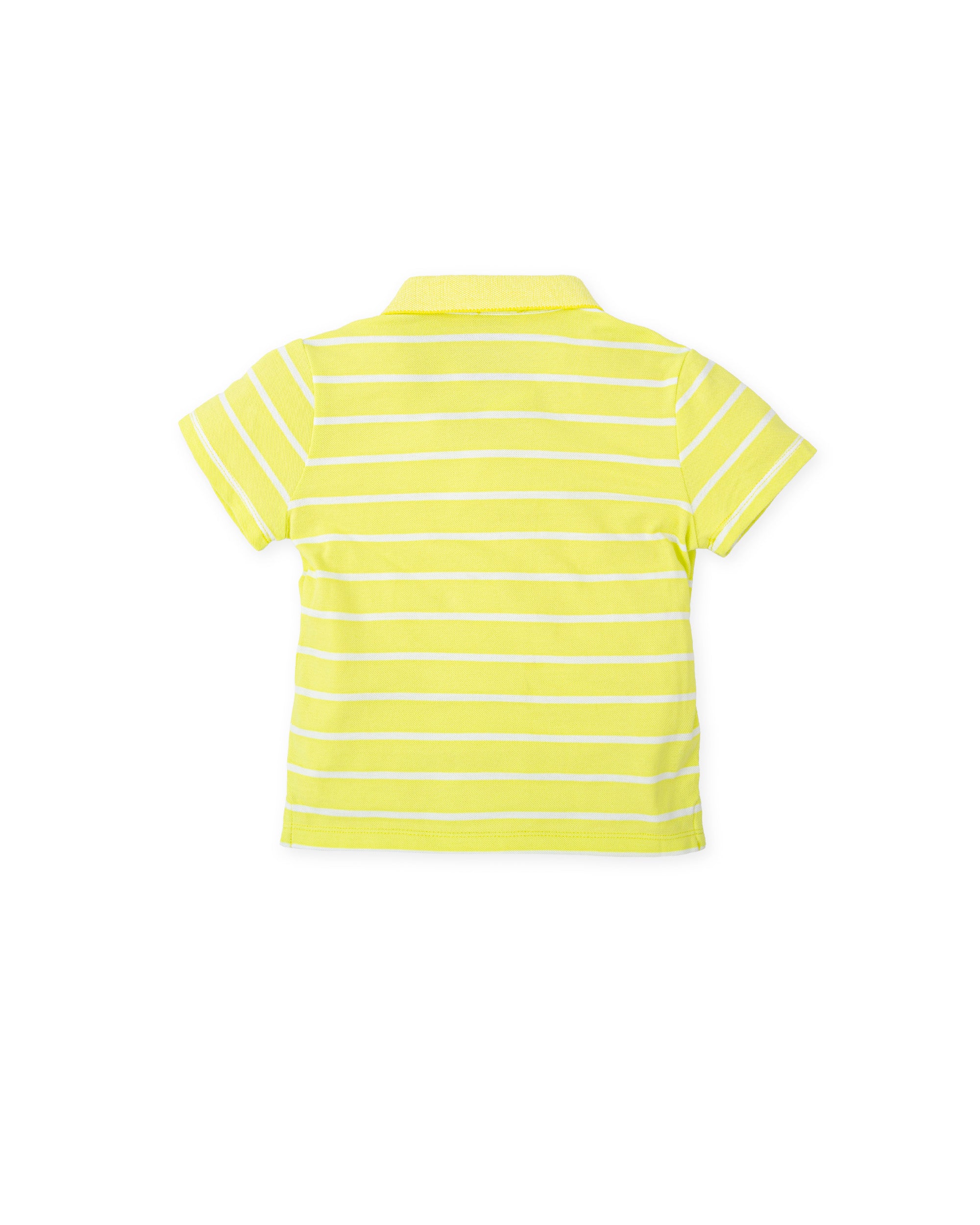 POLO NECK LIME