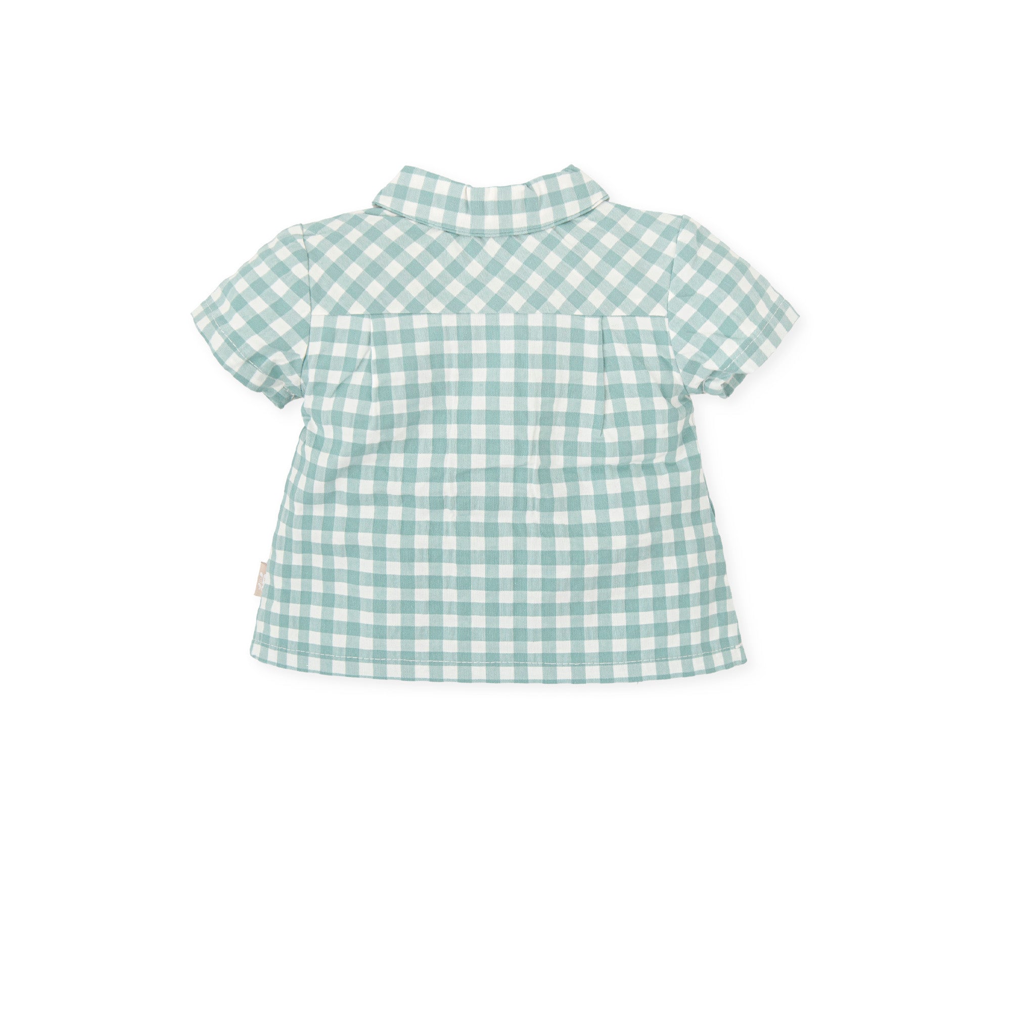 SHIRT SEE GREEN
